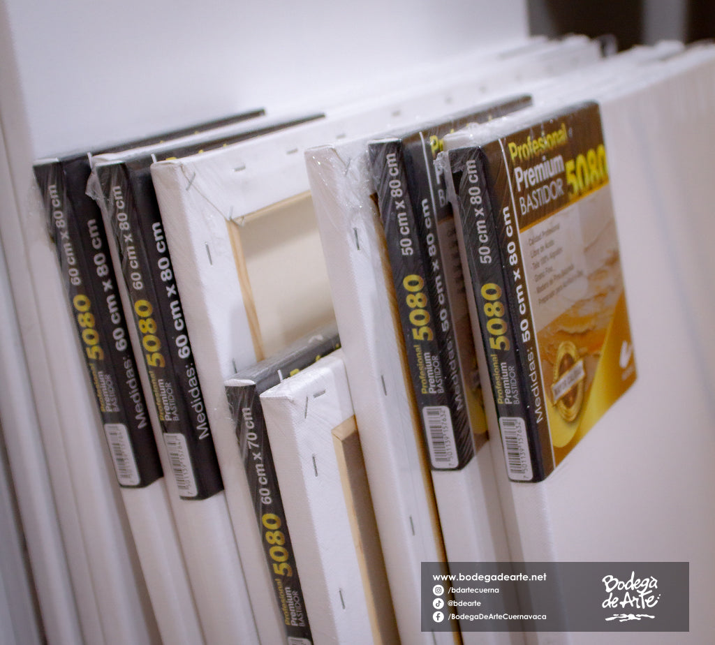 Bastidor profesional premium 5080