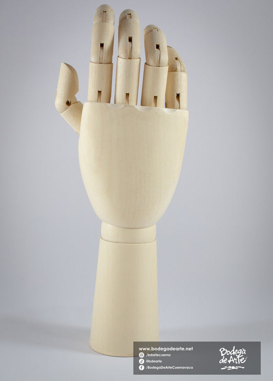 Mano articulada masculina