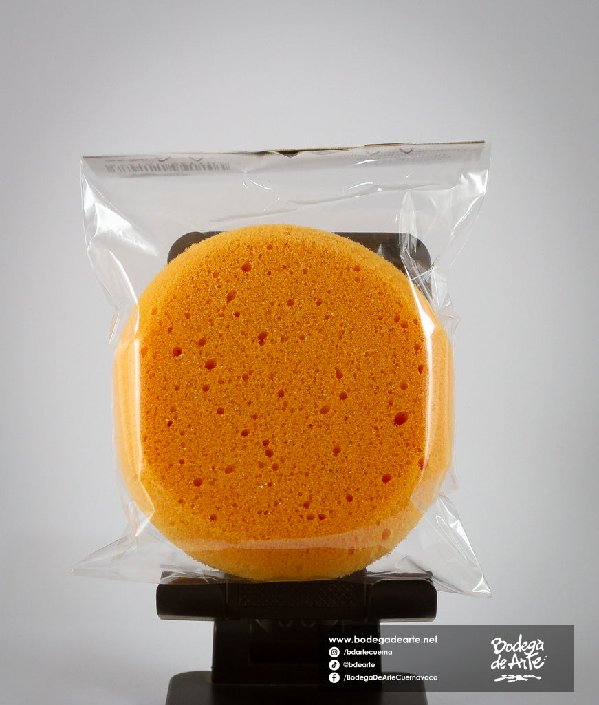Esponja dona Policraft