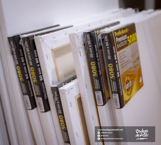 Bastidor profesional premium 5080