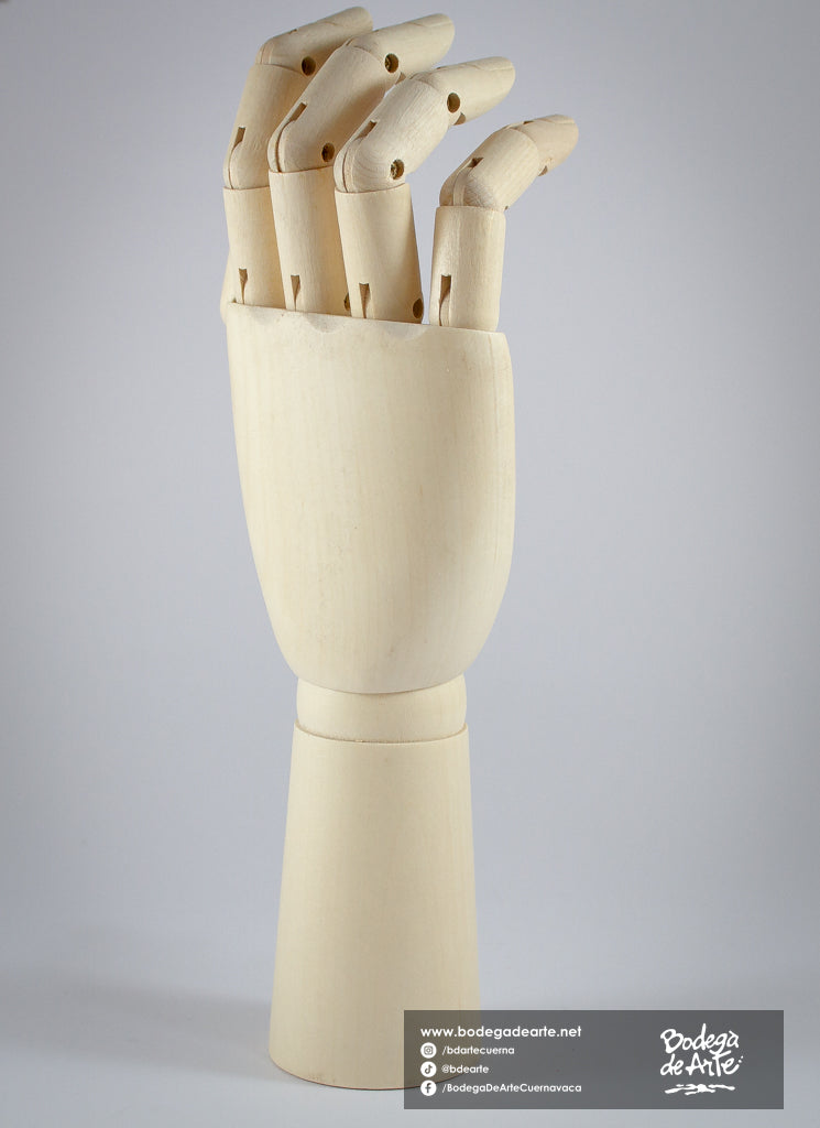 Mano articulada masculina
