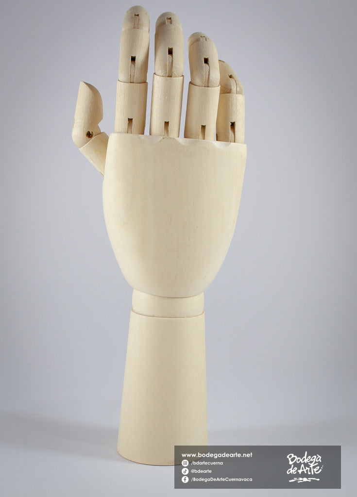 Mano articulada masculina