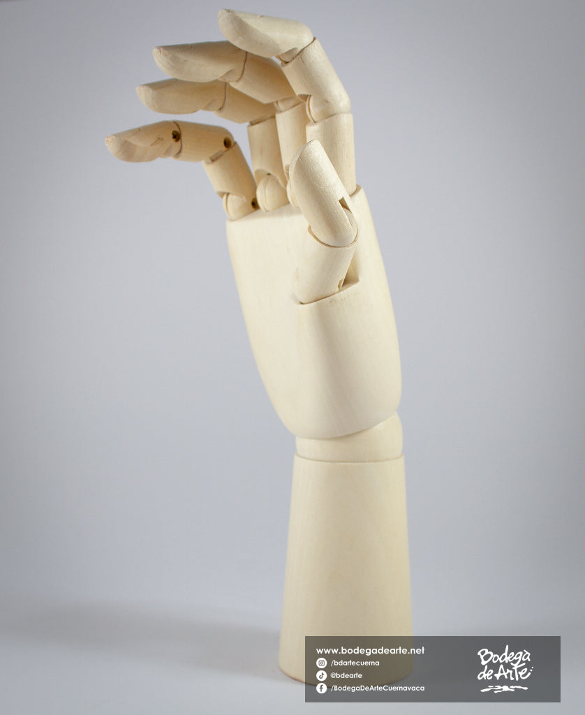 Mano articulada masculina