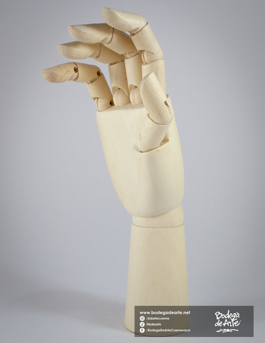 Mano articulada masculina