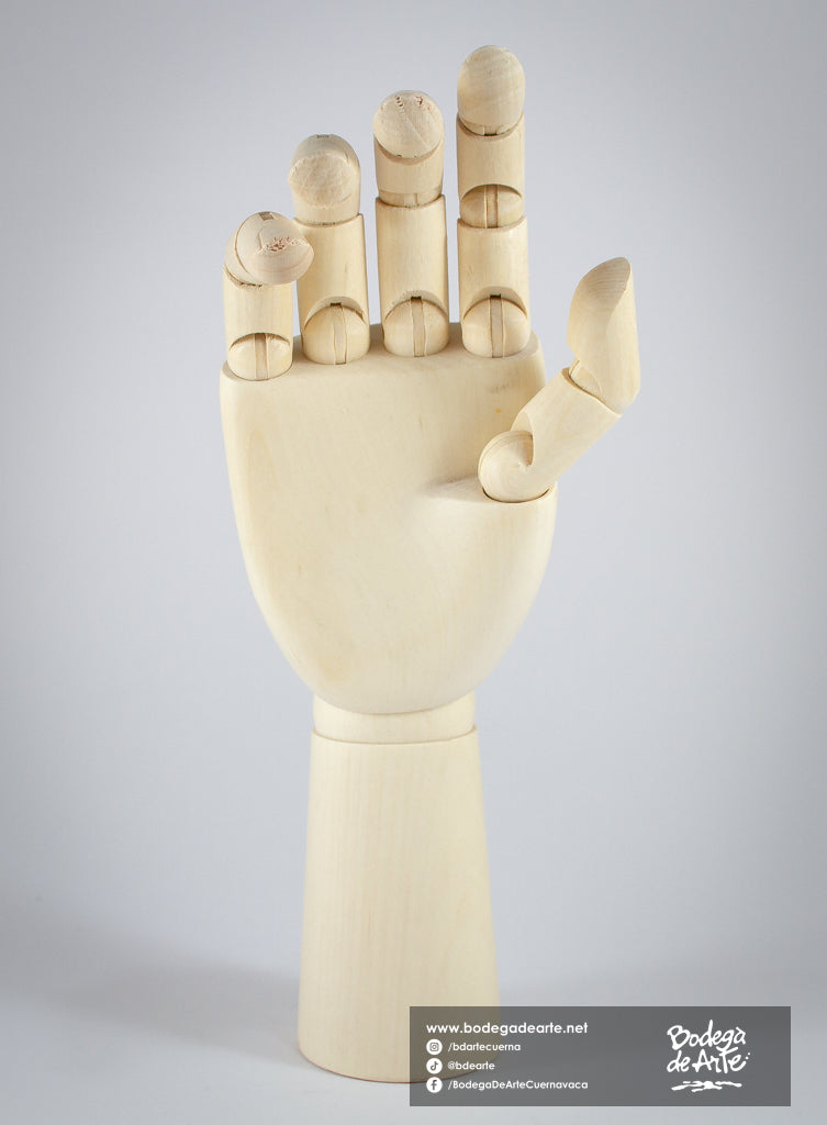 Mano articulada masculina